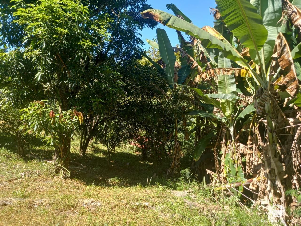 Fazenda à venda com 2 quartos, 1200m² - Foto 16