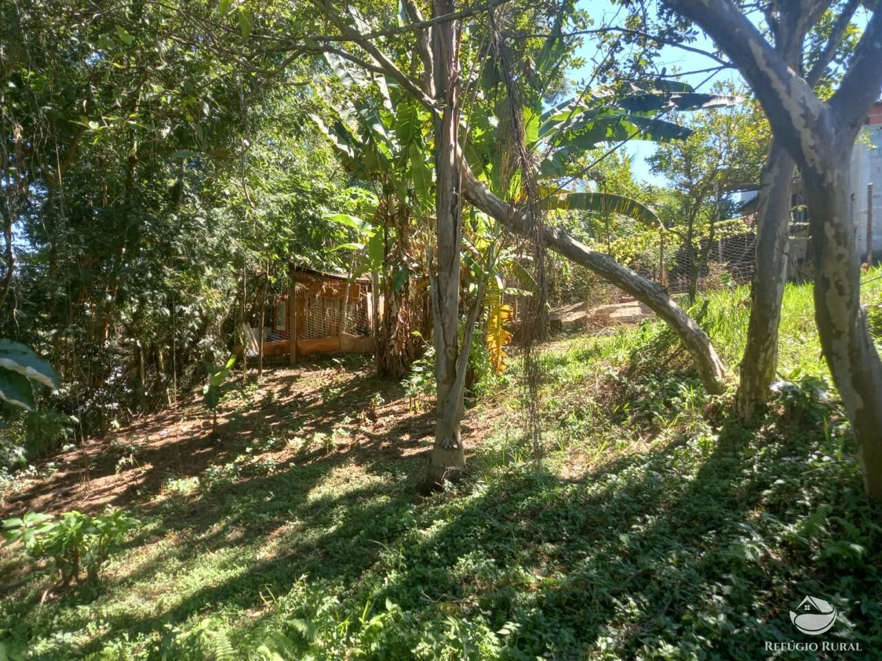 Fazenda à venda com 2 quartos, 1200m² - Foto 13