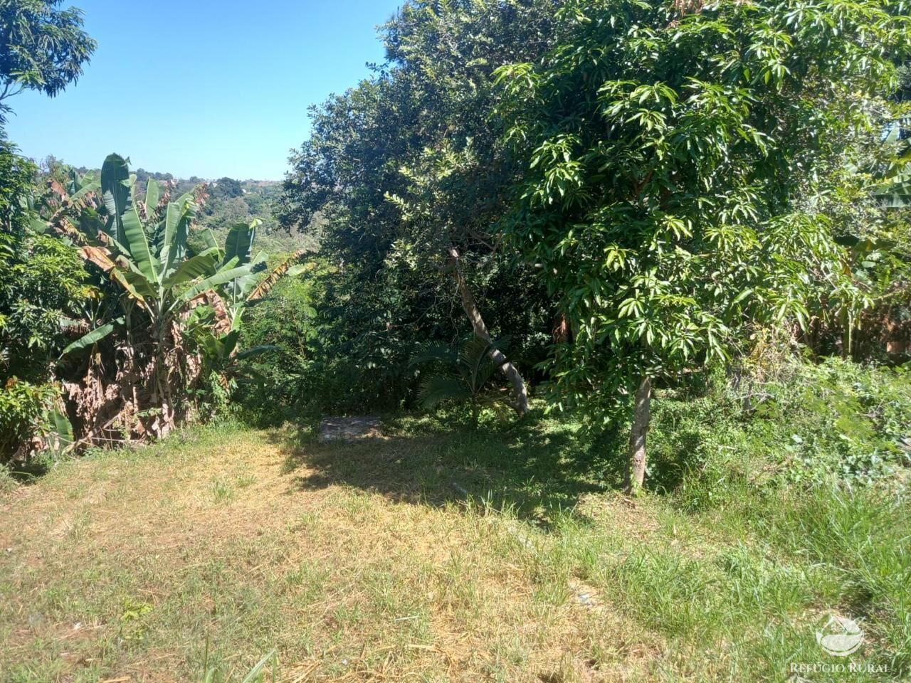 Fazenda à venda com 2 quartos, 1200m² - Foto 6