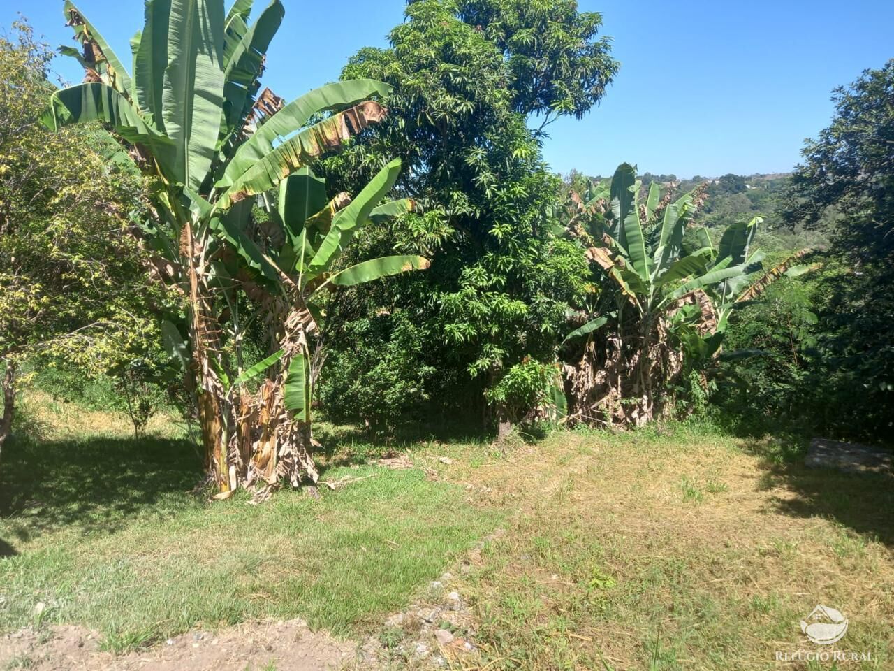 Fazenda à venda com 2 quartos, 1200m² - Foto 1