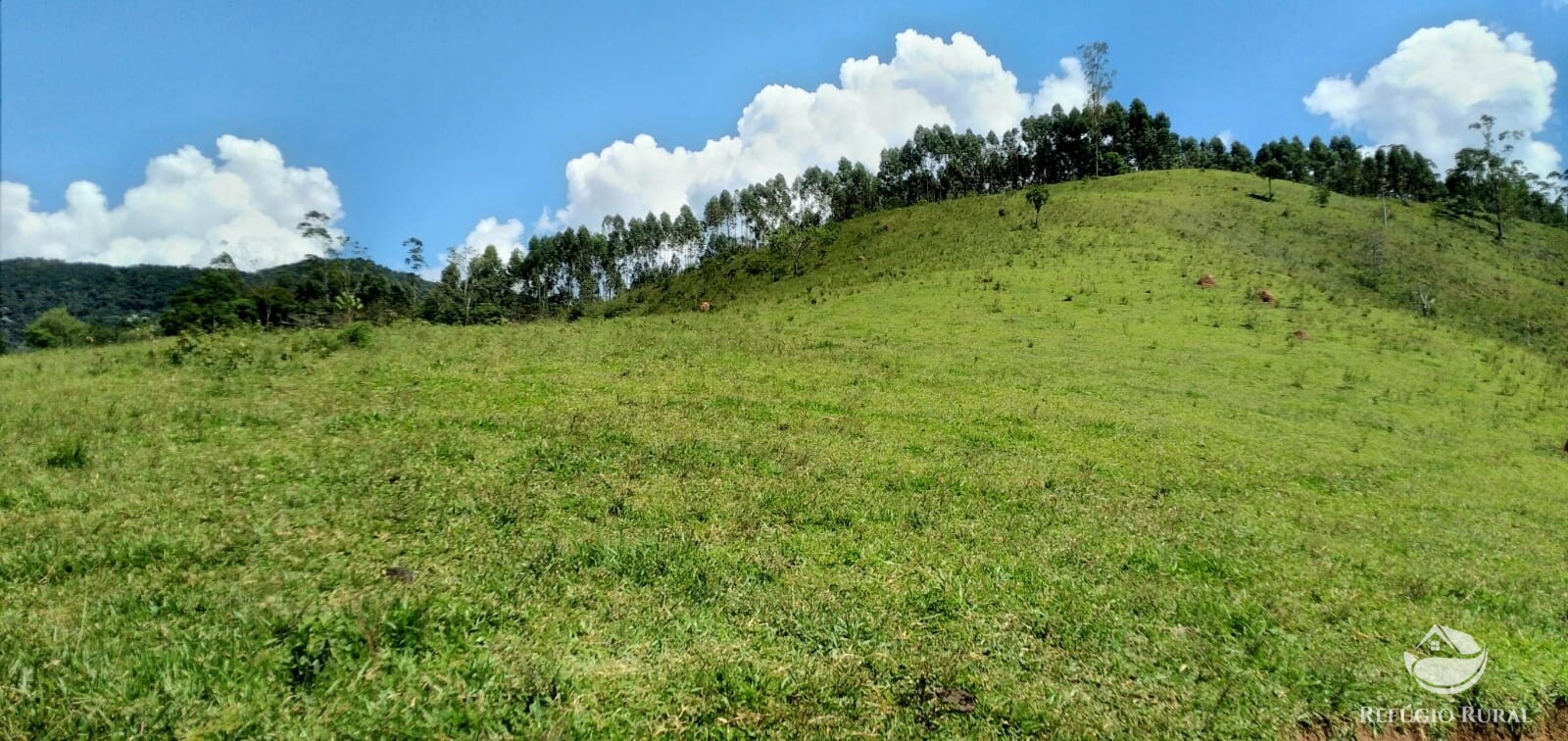 Terreno à venda, 1452000m² - Foto 23