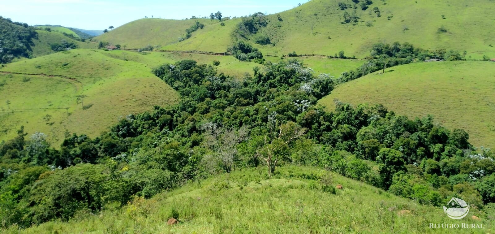 Terreno à venda, 1452000m² - Foto 11