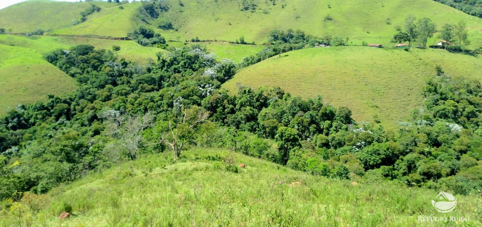 Terreno à venda, 1452000m² - Foto 10