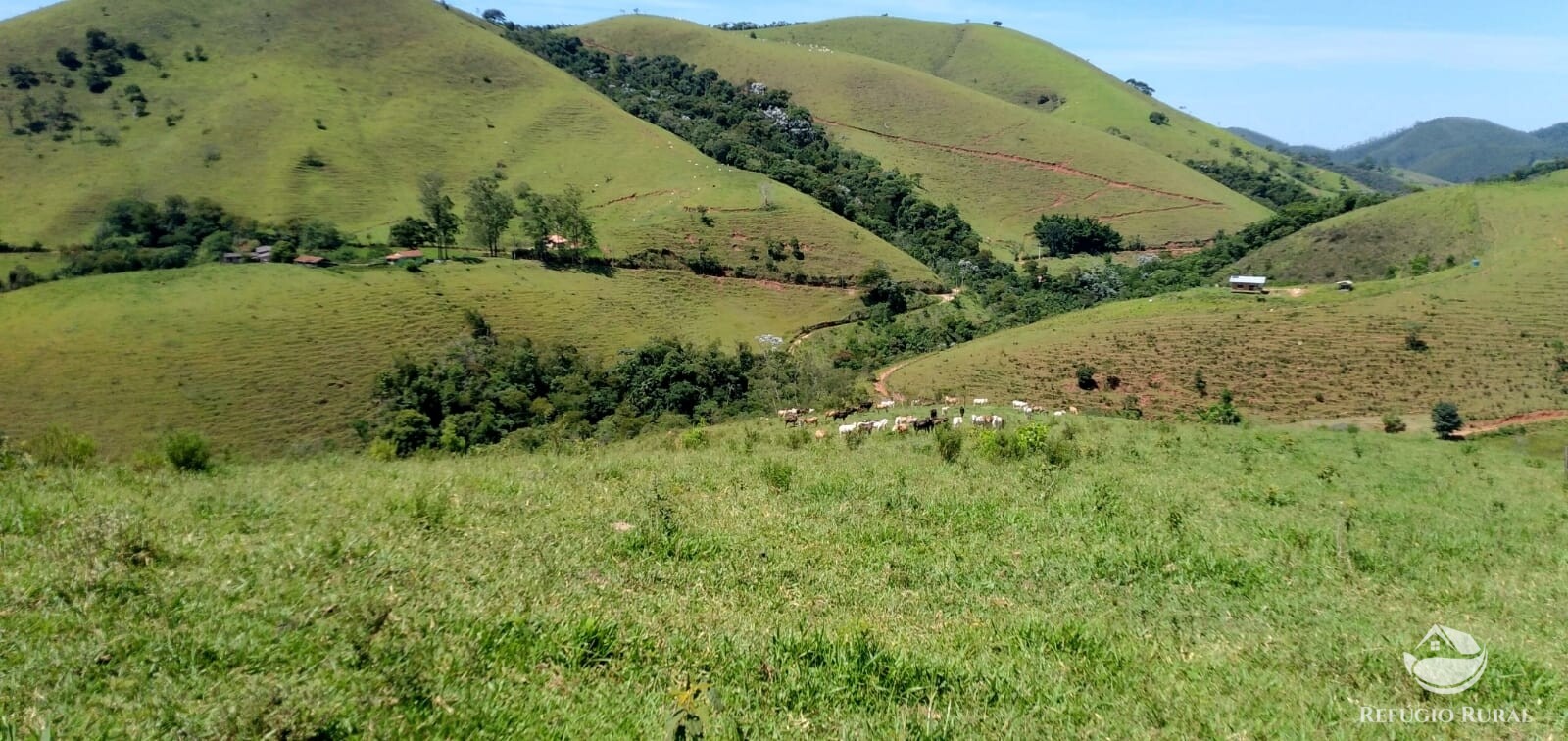 Terreno à venda, 1452000m² - Foto 30