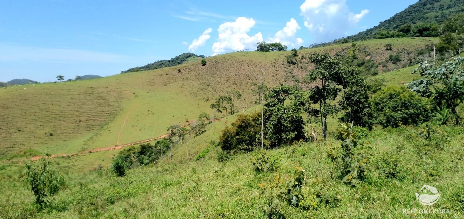 Terreno à venda, 1452000m² - Foto 27