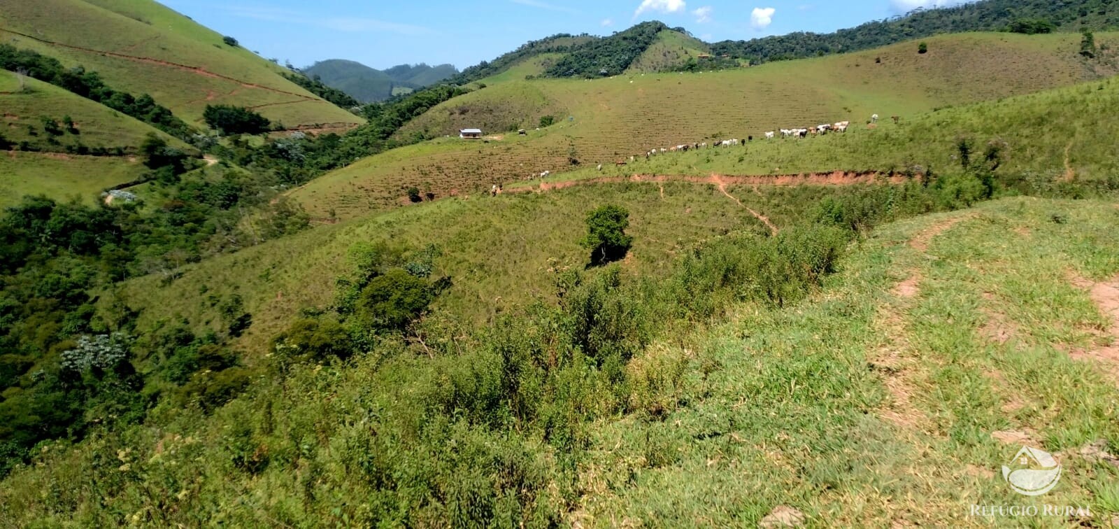 Terreno à venda, 1452000m² - Foto 2