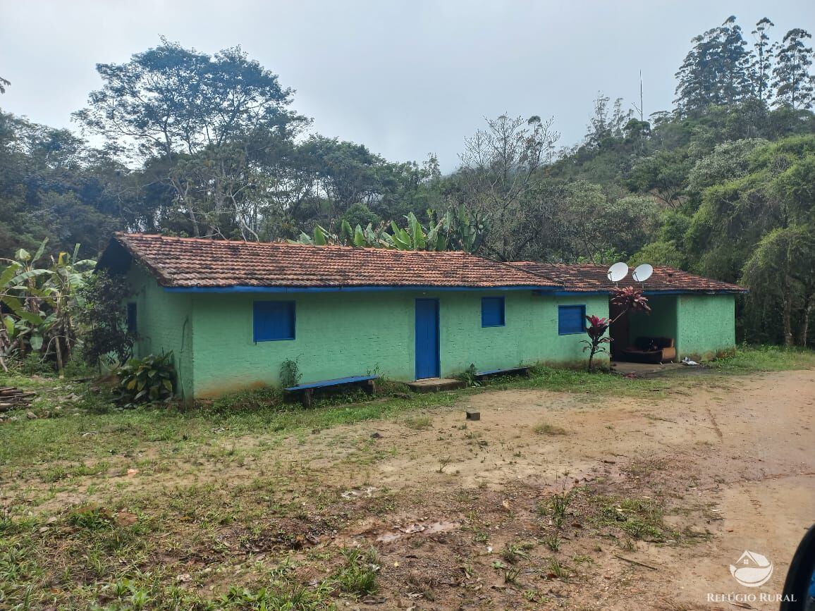 Fazenda à venda com 4 quartos, 8411200m² - Foto 3