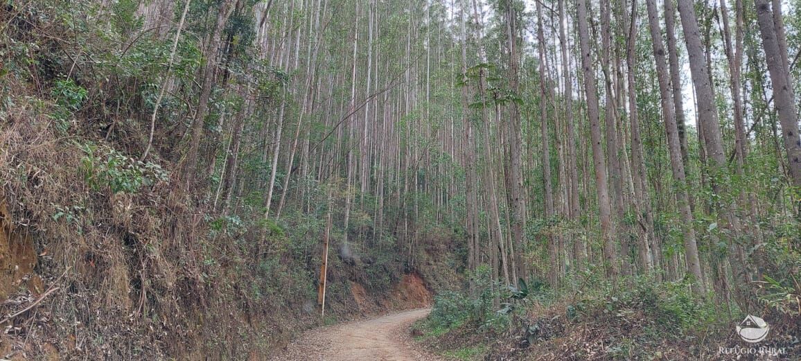 Fazenda à venda com 4 quartos, 8411200m² - Foto 13