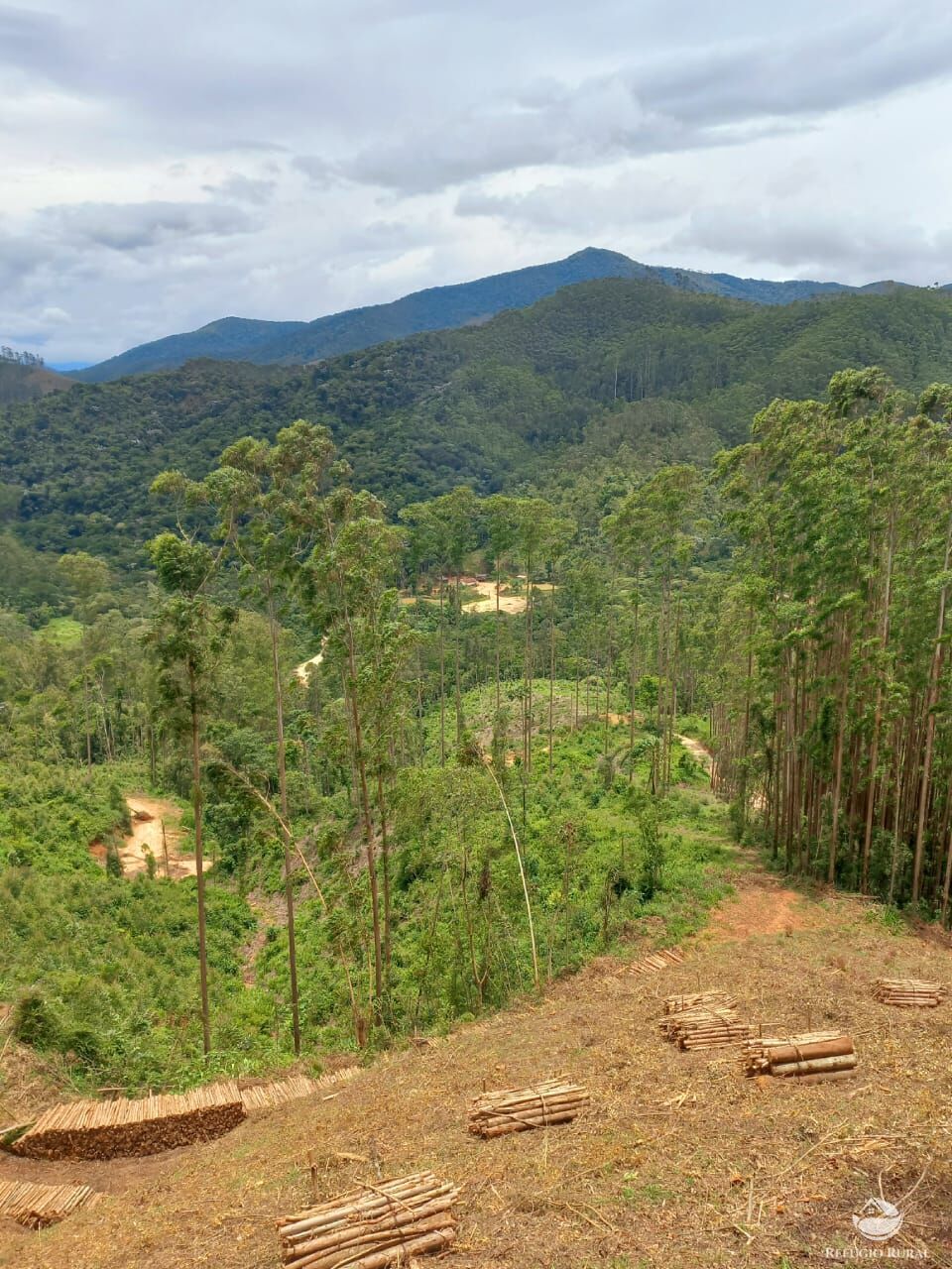 Fazenda à venda com 4 quartos, 8411200m² - Foto 4