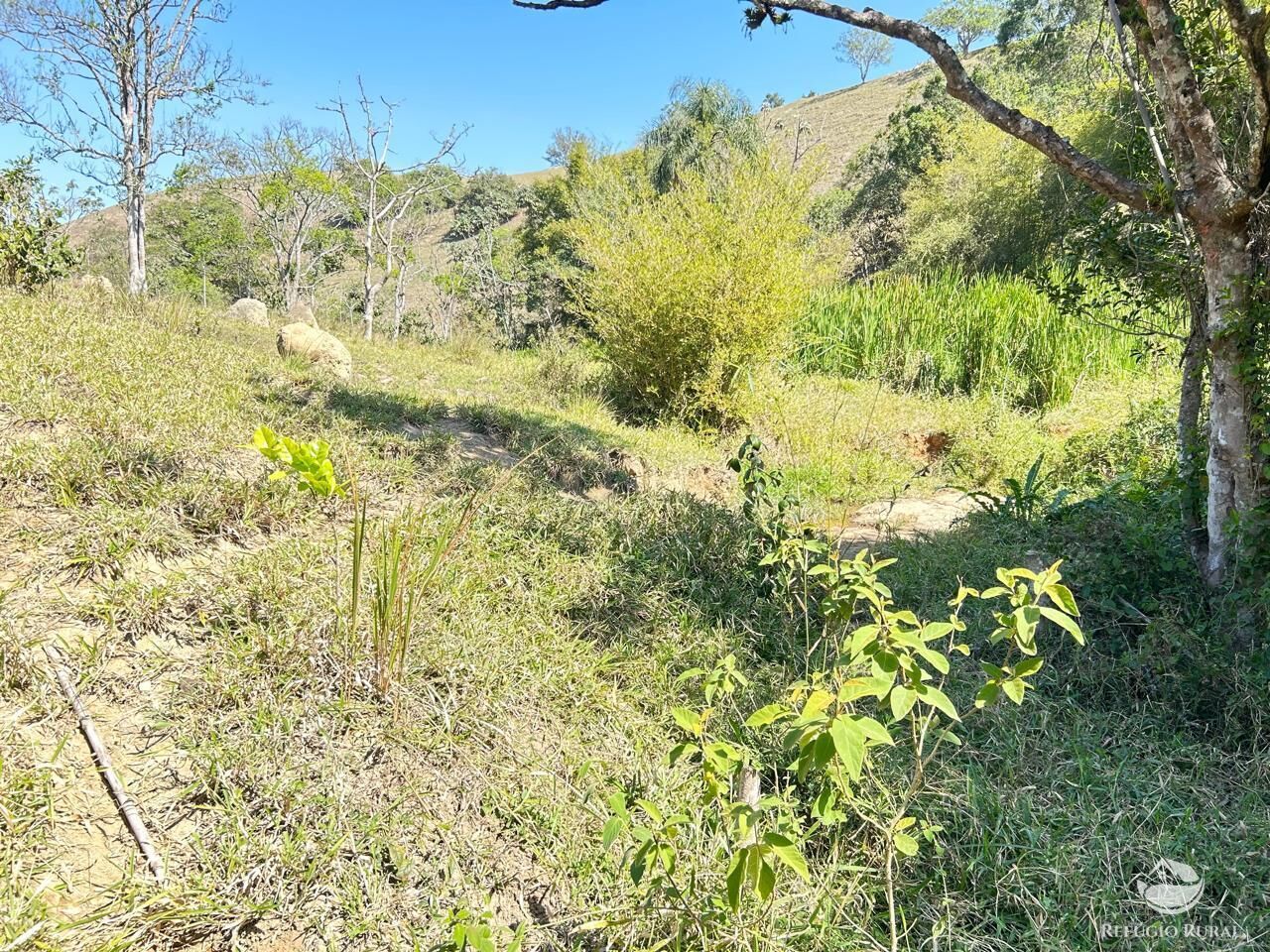 Terreno à venda, 20000m² - Foto 14