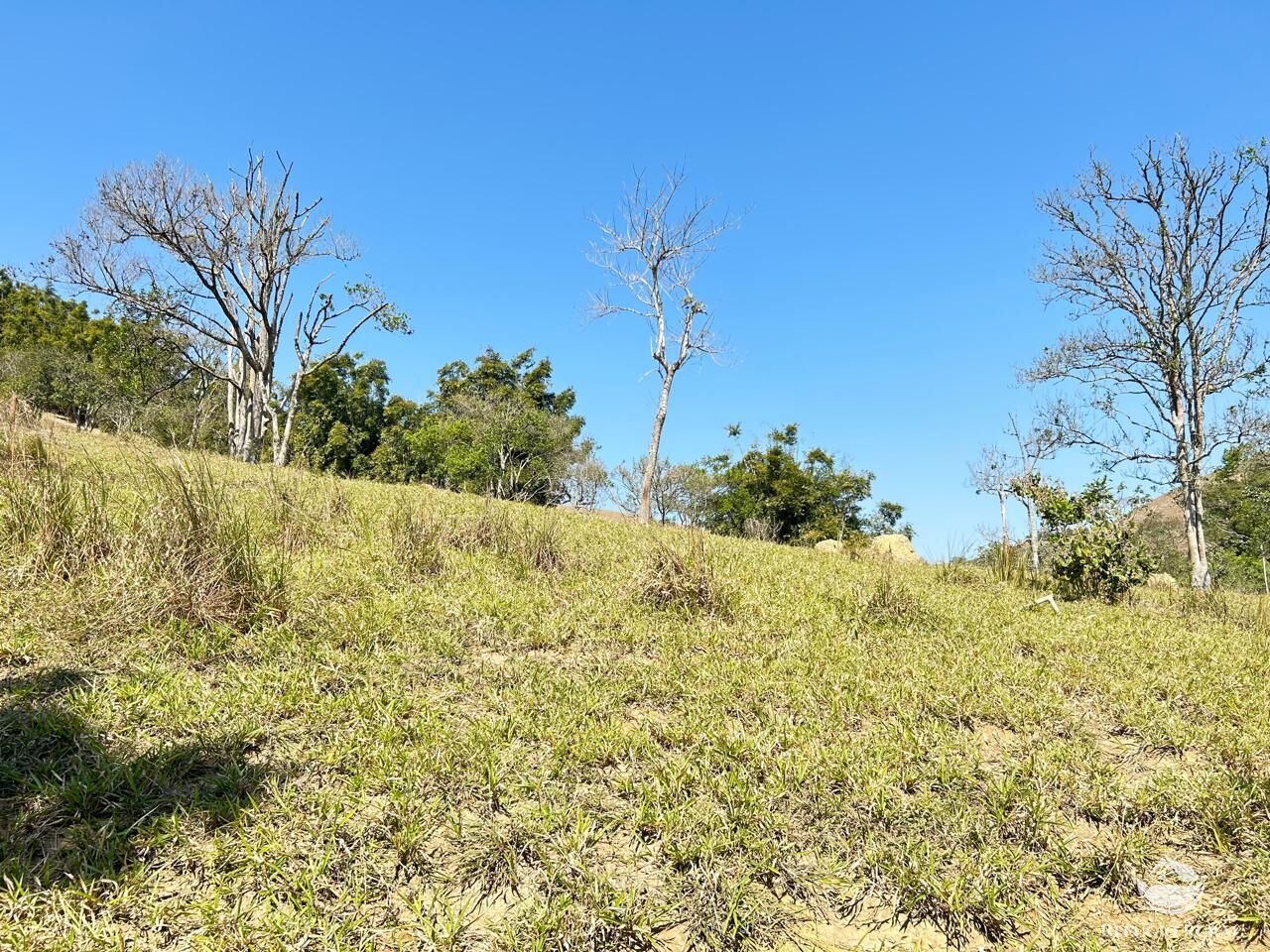 Terreno à venda, 20000m² - Foto 13