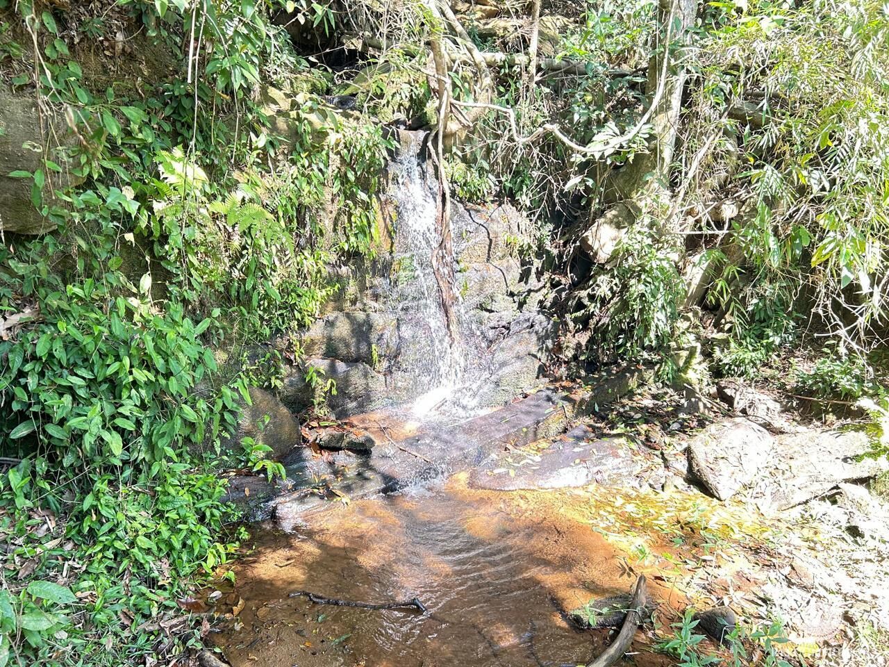 Terreno à venda, 20000m² - Foto 22