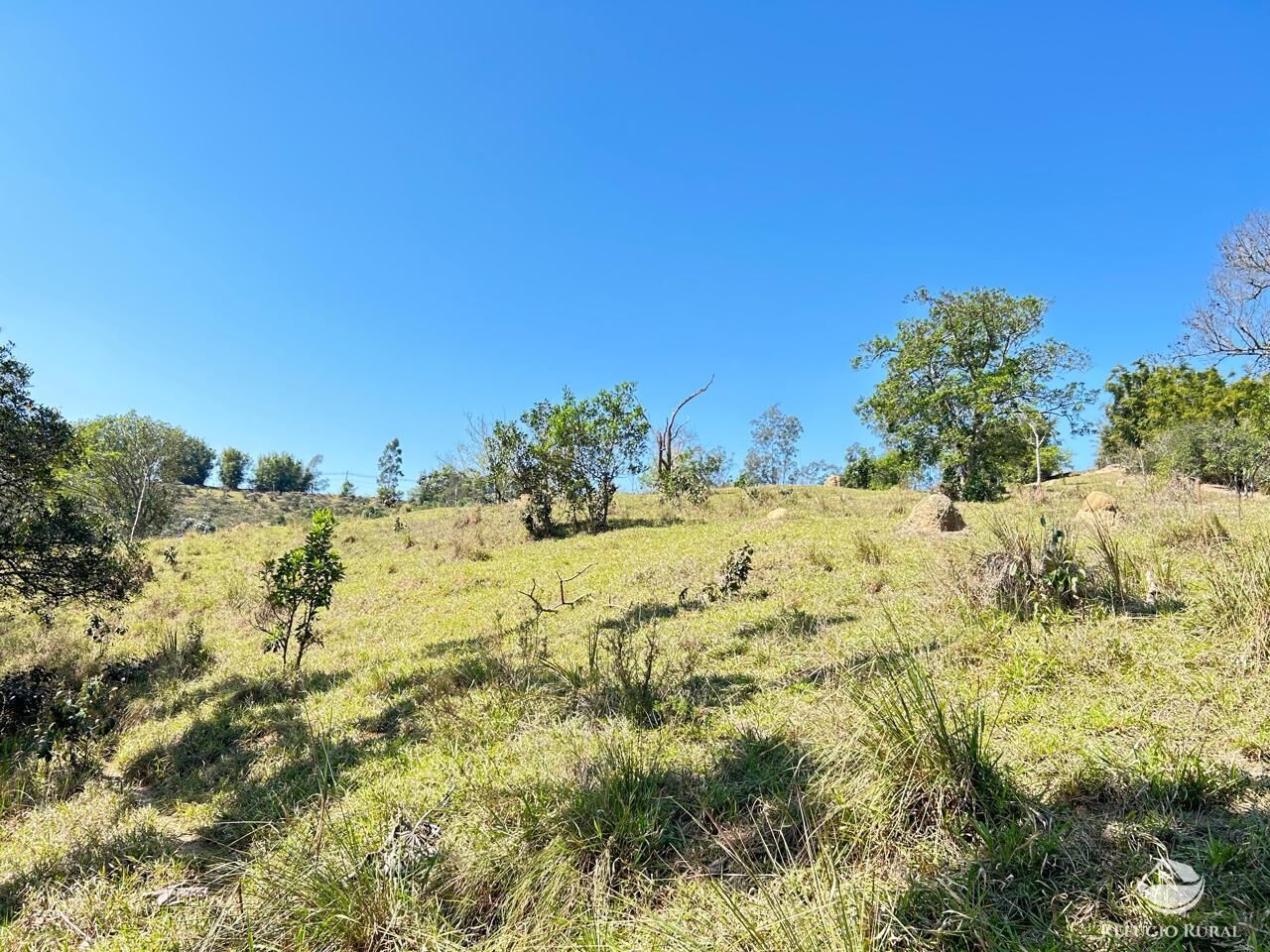 Terreno à venda, 20000m² - Foto 15