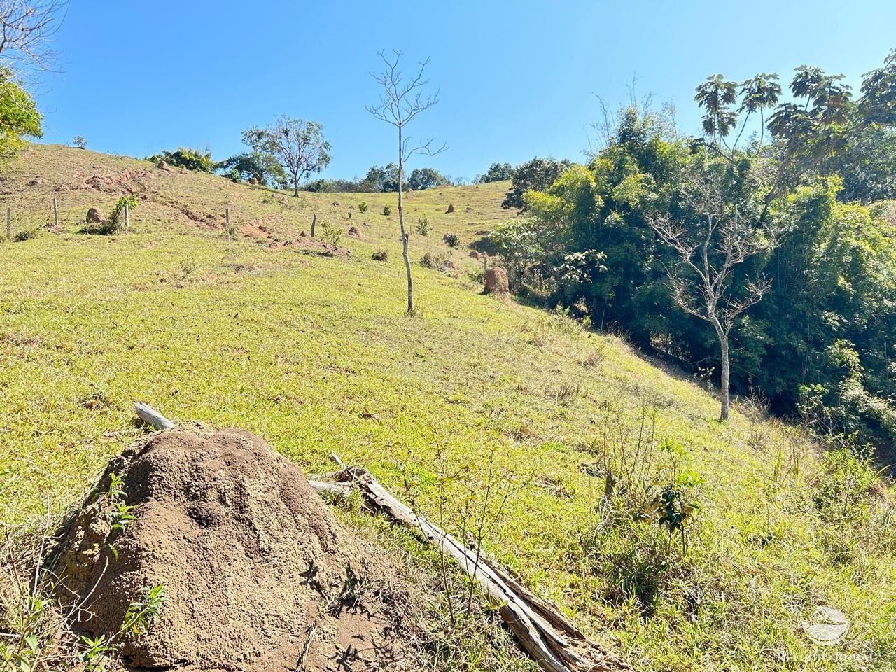 Terreno à venda, 20000m² - Foto 17