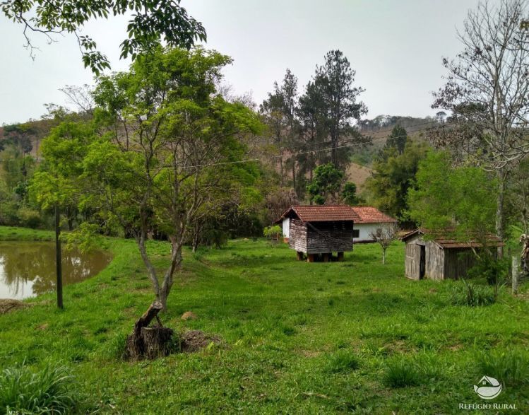 Chácara, 7623 hectares - Foto 17