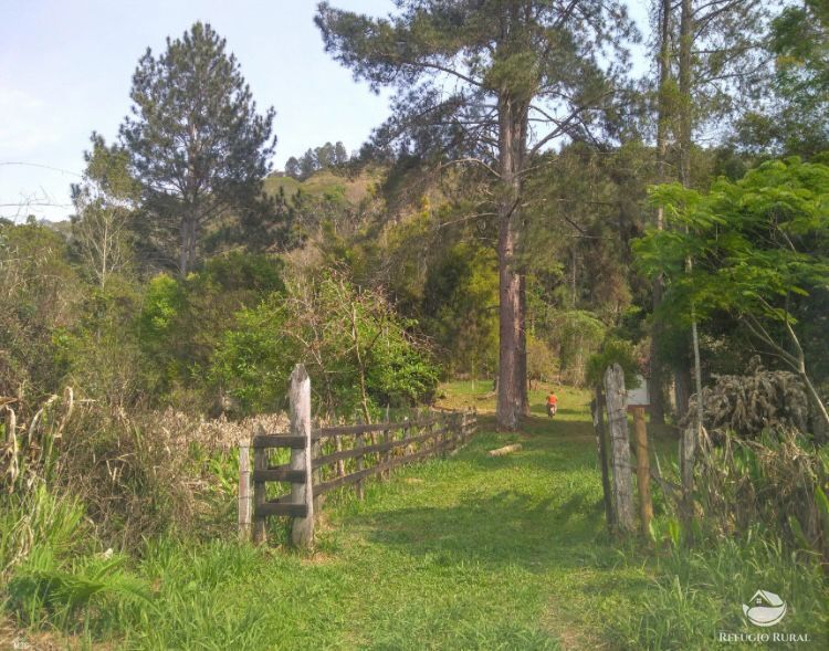 Chácara, 7623 hectares - Foto 21