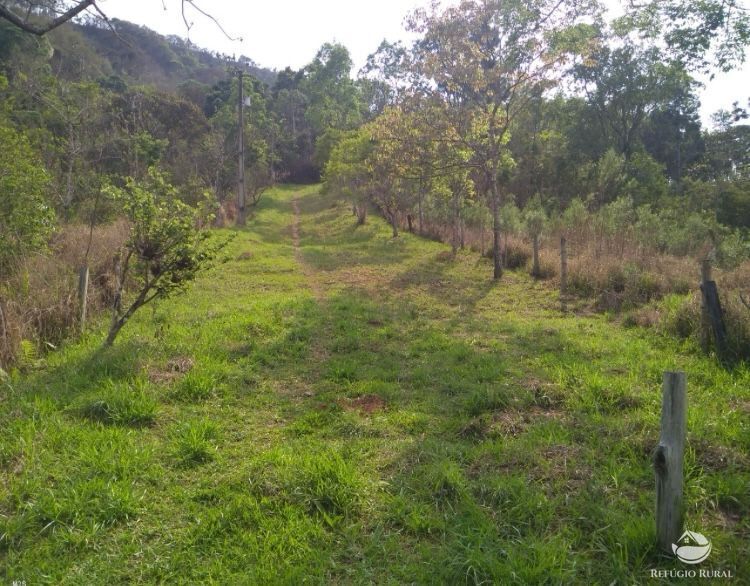 Chácara, 2 quartos, 7623 hectares - Foto 3