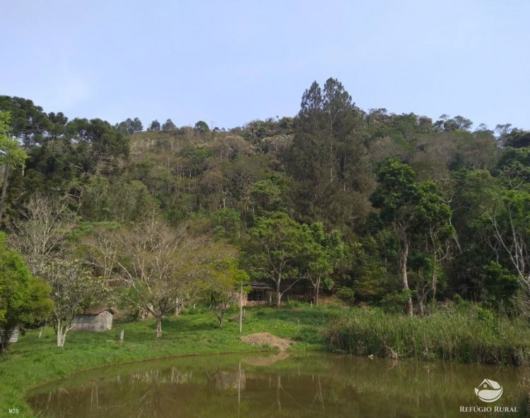 Chácara, 2 quartos, 7623 hectares - Foto 2