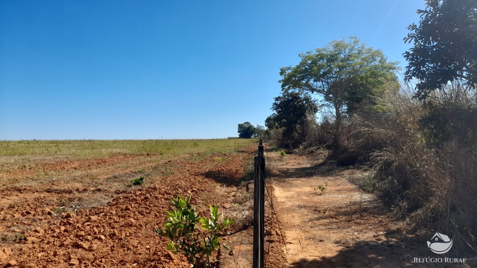 Fazenda à venda com 1 quarto, 7405200m² - Foto 4