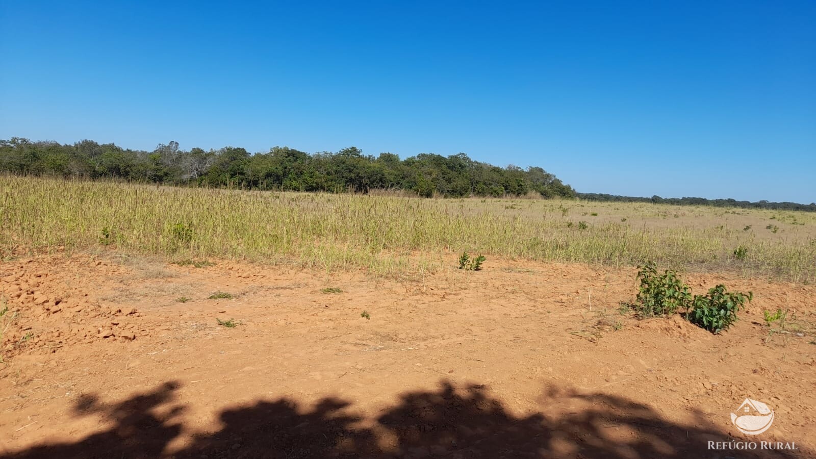 Fazenda à venda com 1 quarto, 7405200m² - Foto 20