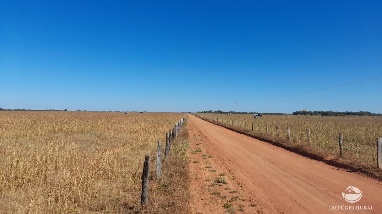 Fazenda à venda com 1 quarto, 7405200m² - Foto 13