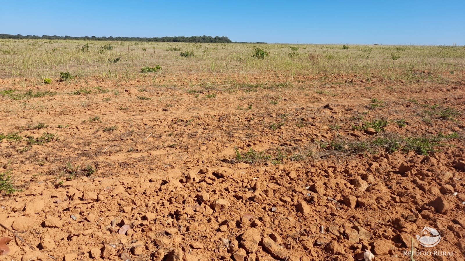 Fazenda à venda com 1 quarto, 7405200m² - Foto 11