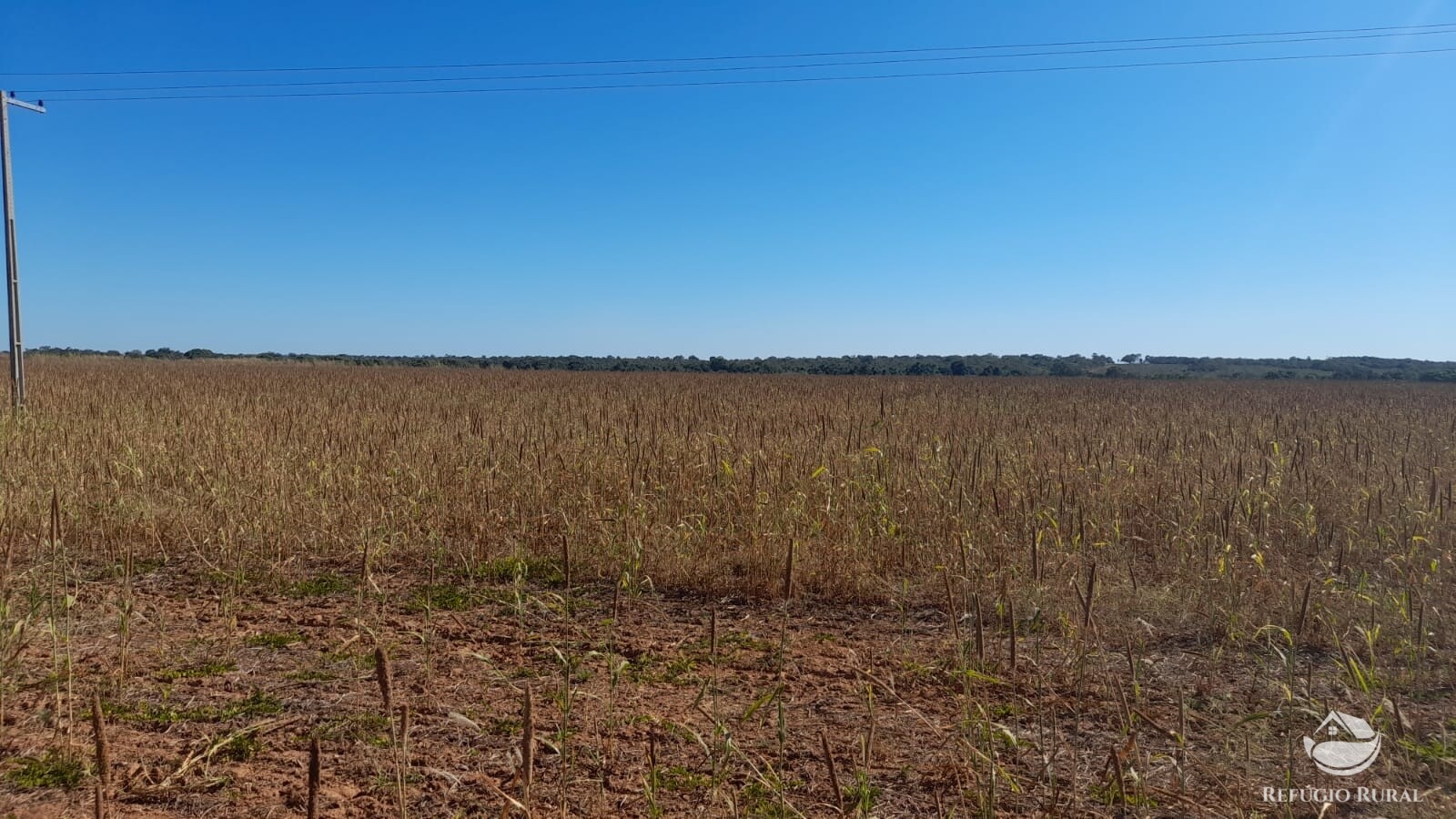 Fazenda à venda com 1 quarto, 7405200m² - Foto 3