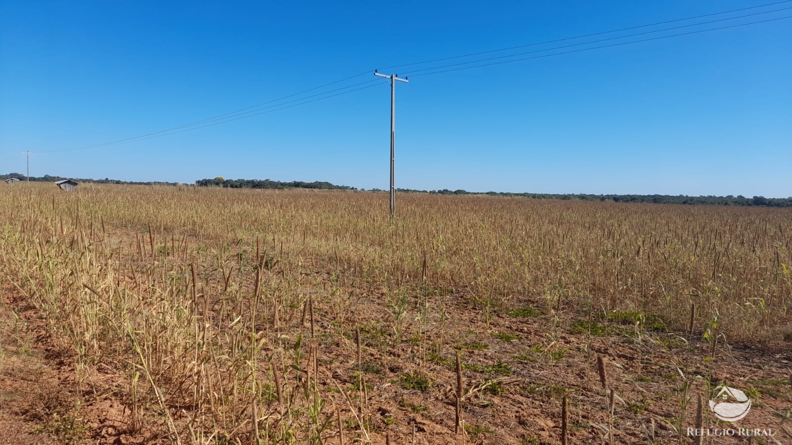 Fazenda à venda com 1 quarto, 7405200m² - Foto 19