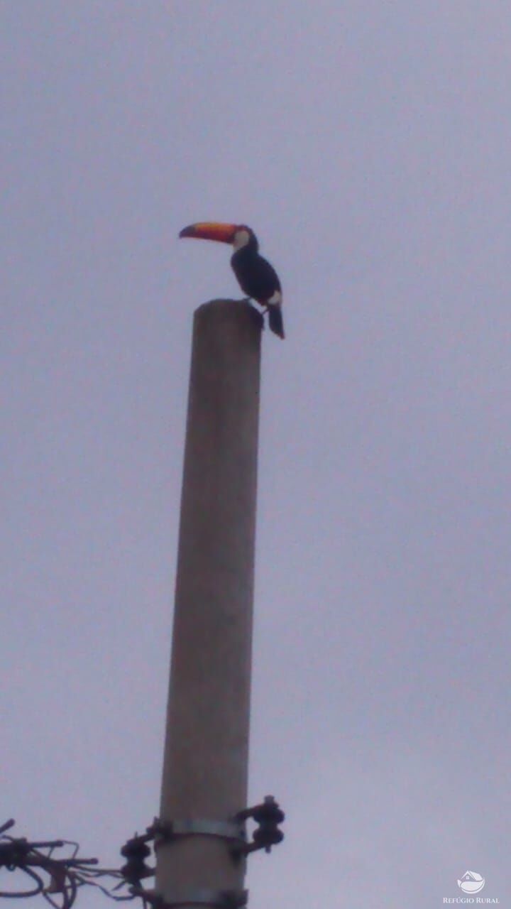 Terreno, 1057 m² - Foto 28