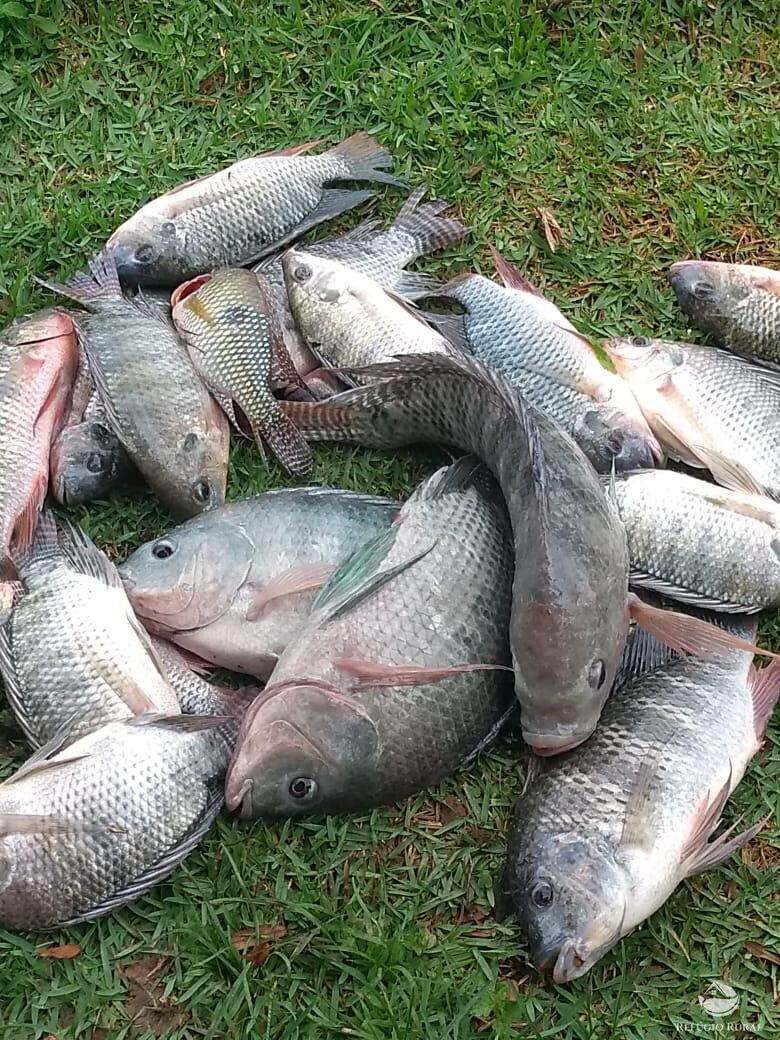 Terreno, 1057 m² - Foto 19