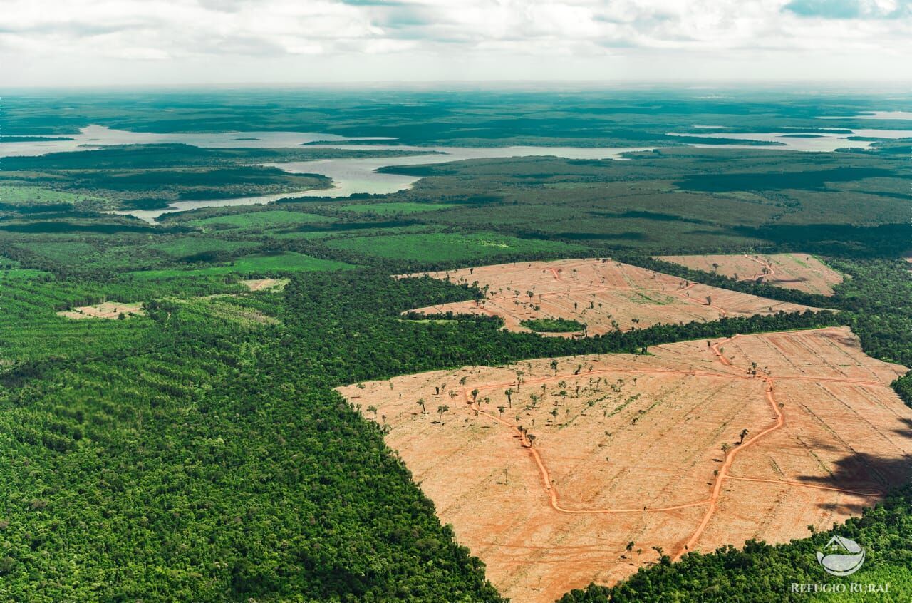 Fazenda à venda com 1 quarto, 25000000m² - Foto 1