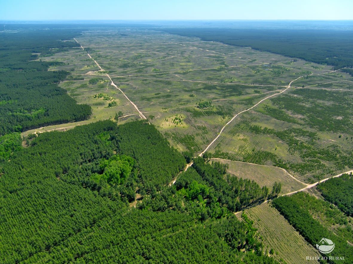 Fazenda à venda com 1 quarto, 25000000m² - Foto 4