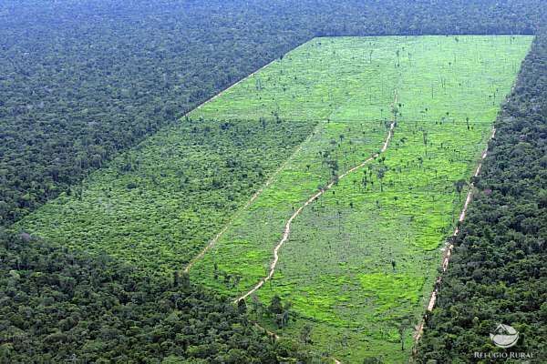 Fazenda à venda com 1 quarto, 25000000m² - Foto 3