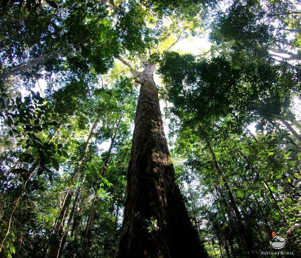 Fazenda à venda com 1 quarto, 25000000m² - Foto 2
