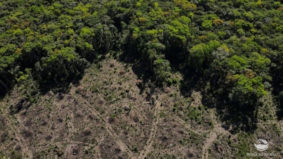 Fazenda à venda com 1 quarto, 25000000m² - Foto 5
