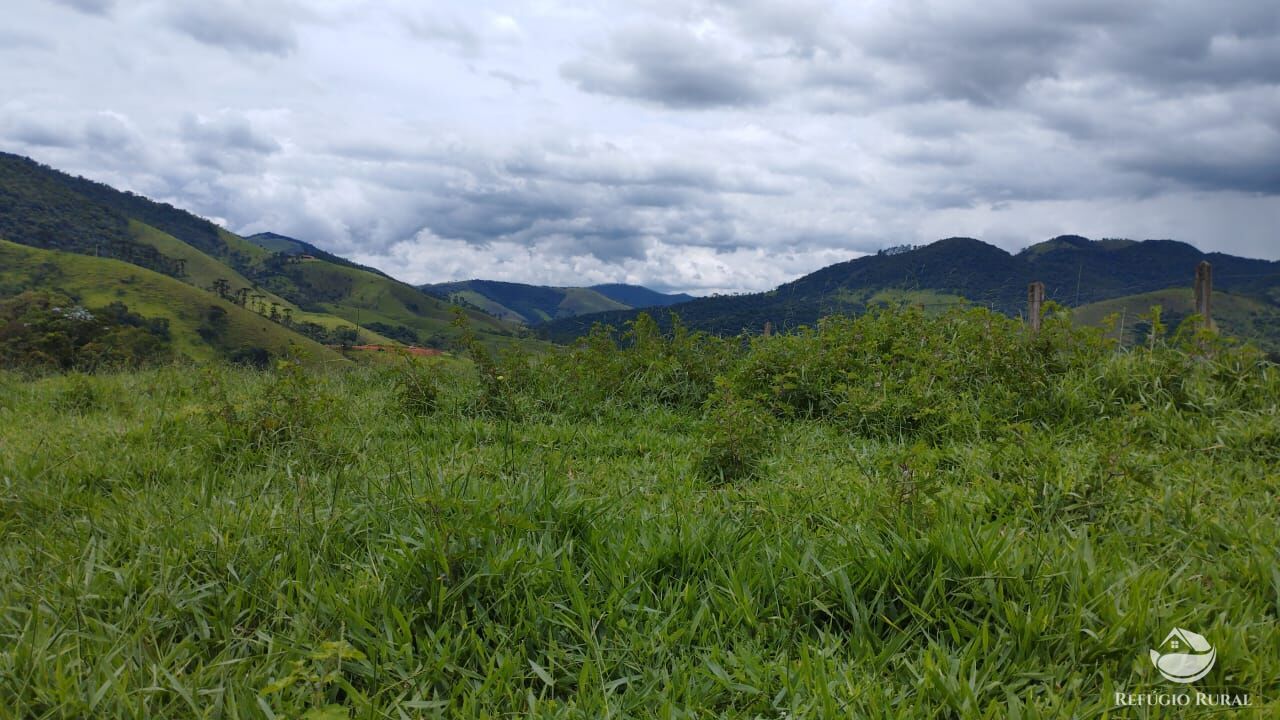 Chácara à venda com 1 quarto, 20000m² - Foto 26