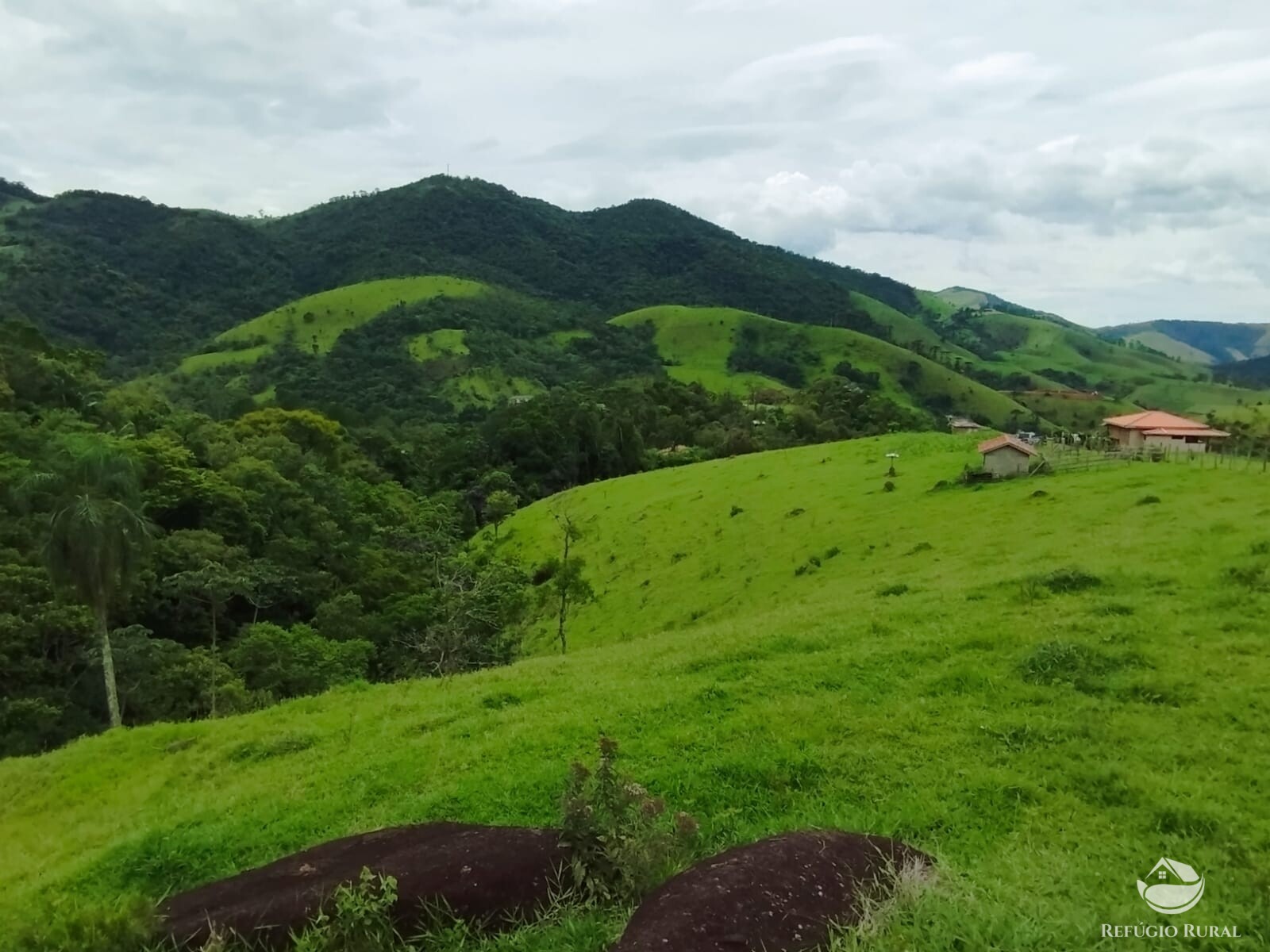 Fazenda à venda com 1 quarto, 10000m² - Foto 9