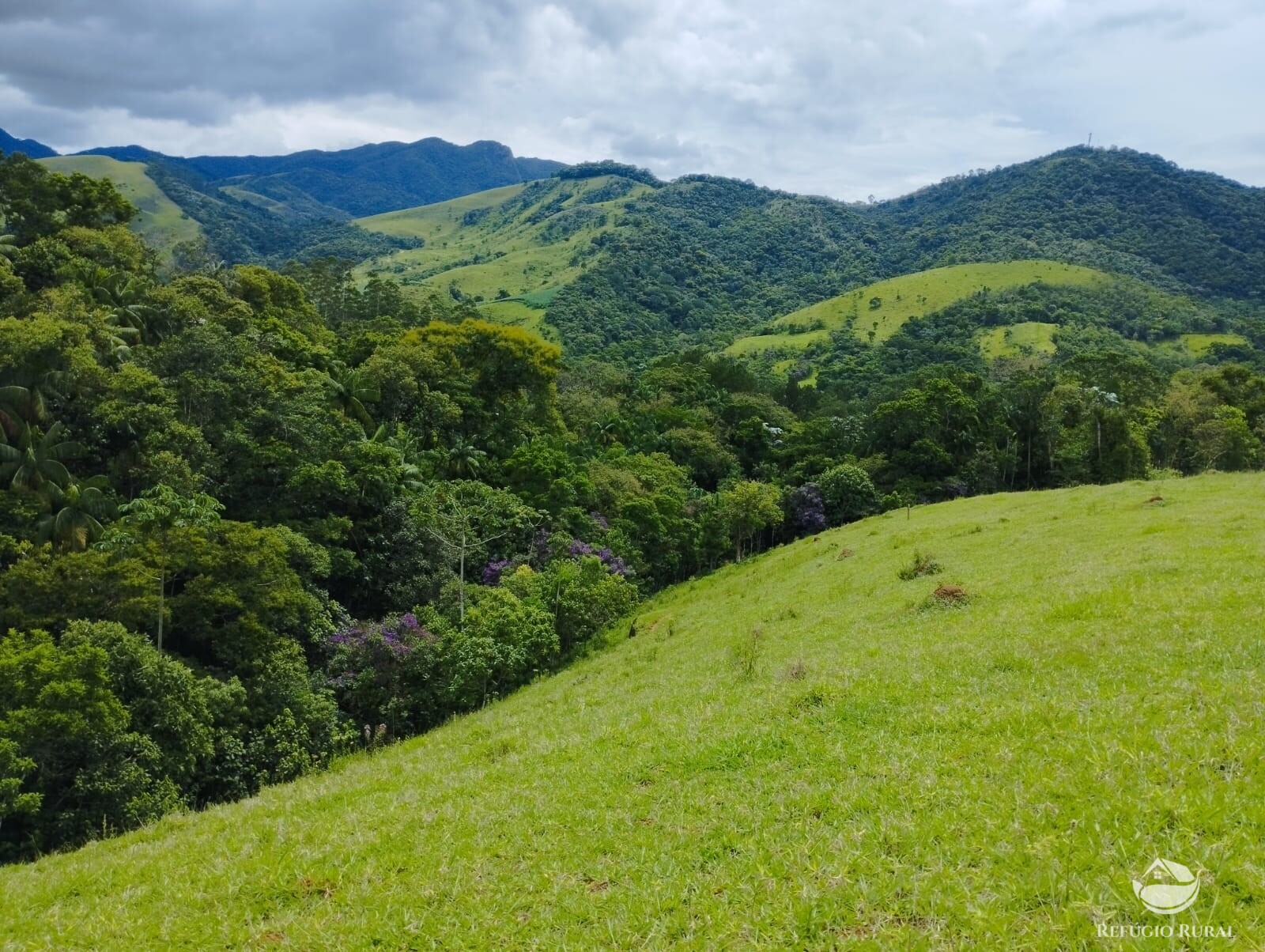 Fazenda à venda com 1 quarto, 10000m² - Foto 7