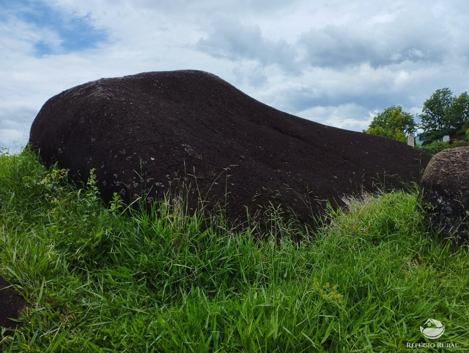 Fazenda à venda com 1 quarto, 10000m² - Foto 6