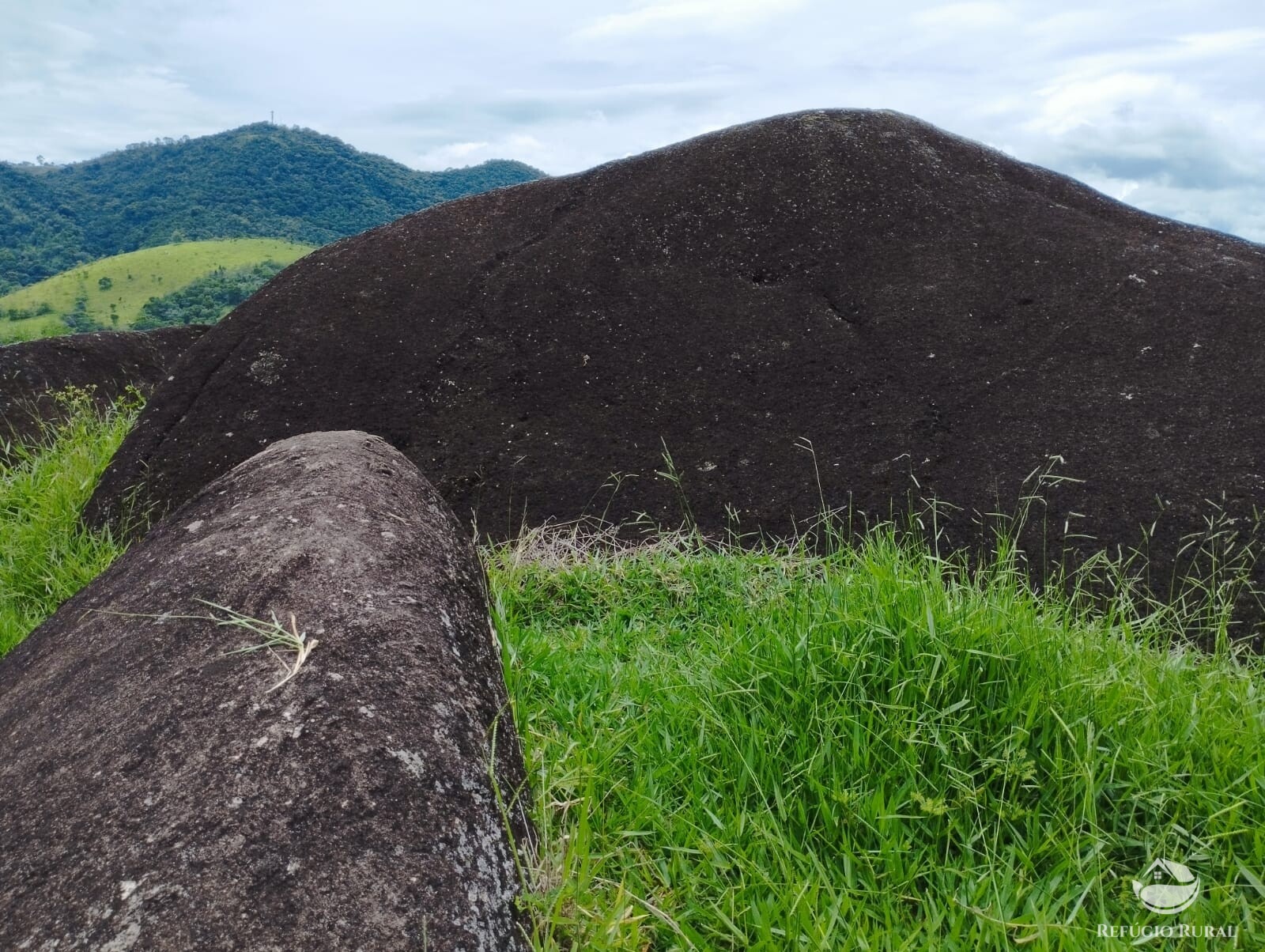 Fazenda à venda com 1 quarto, 10000m² - Foto 8