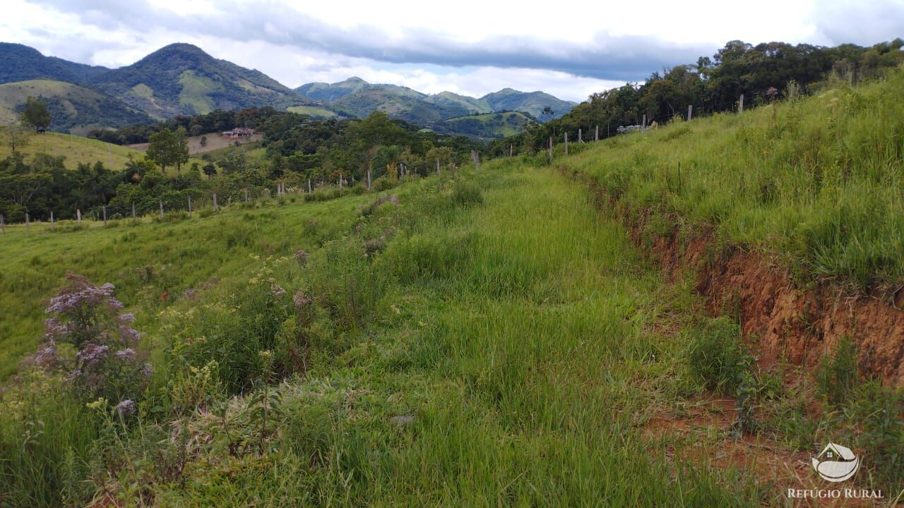 Chácara à venda com 1 quarto, 20000m² - Foto 22