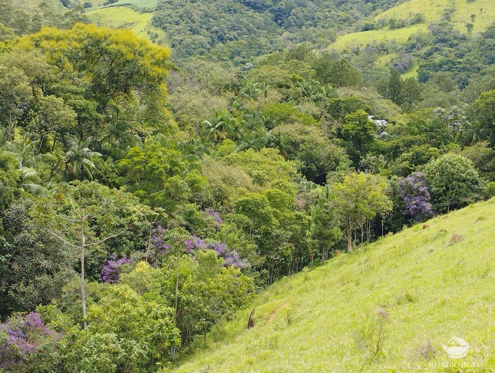 Fazenda à venda com 1 quarto, 10000m² - Foto 2