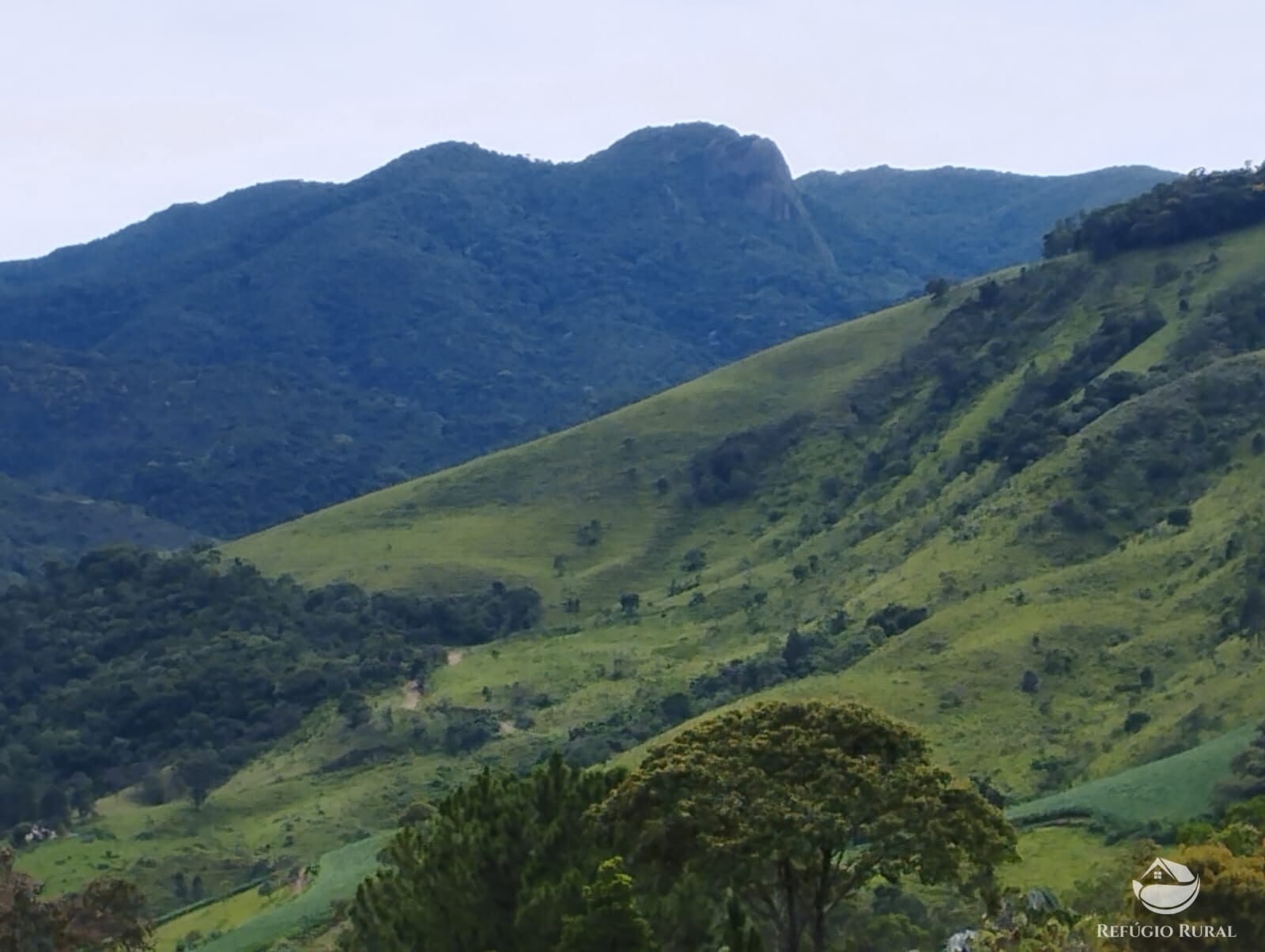 Fazenda à venda com 1 quarto, 10000m² - Foto 1