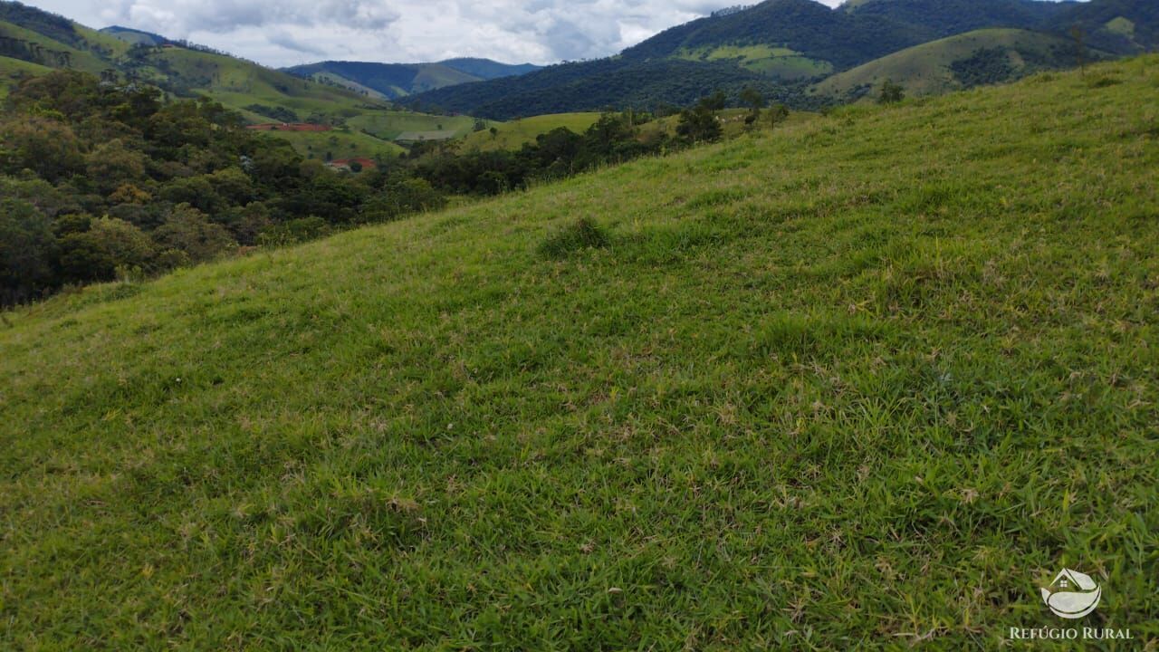 Chácara à venda com 1 quarto, 20000m² - Foto 23