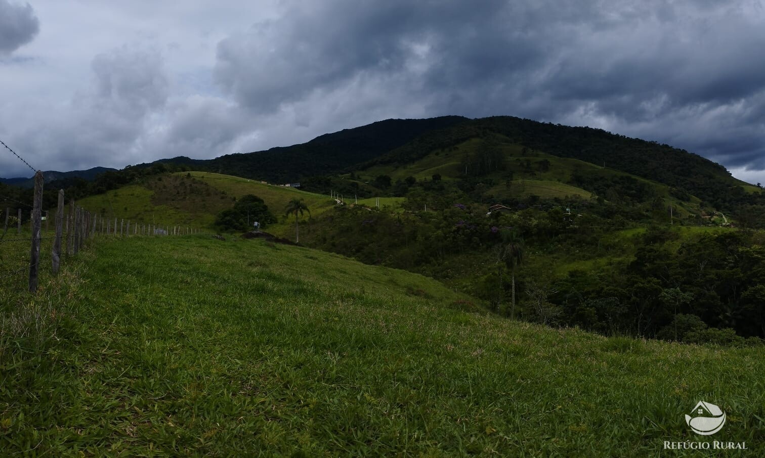 Fazenda à venda com 1 quarto, 10000m² - Foto 5