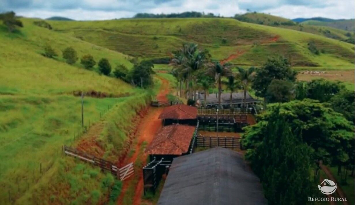 Fazenda à venda com 6 quartos, 500m² - Foto 1