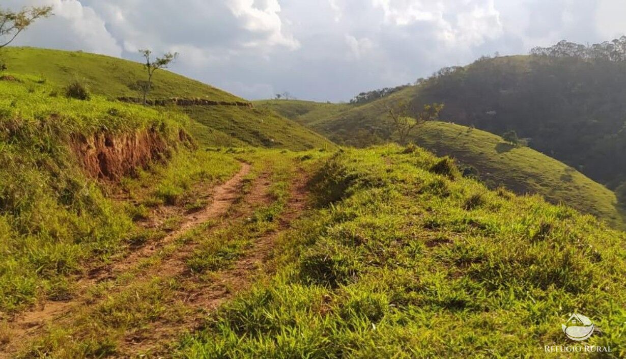 Fazenda à venda com 6 quartos, 500m² - Foto 2