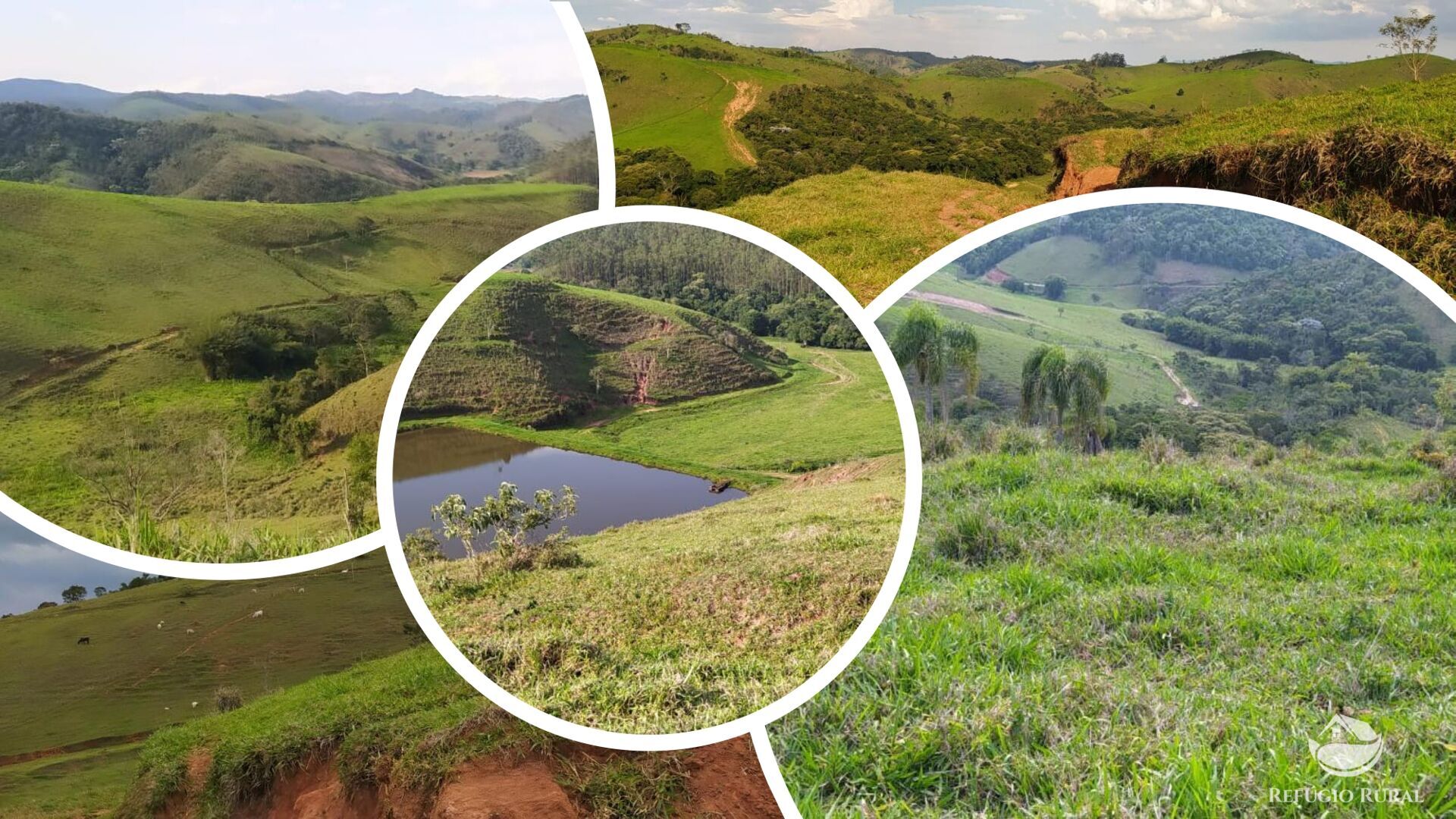 Fazenda à venda com 6 quartos, 500m² - Foto 6