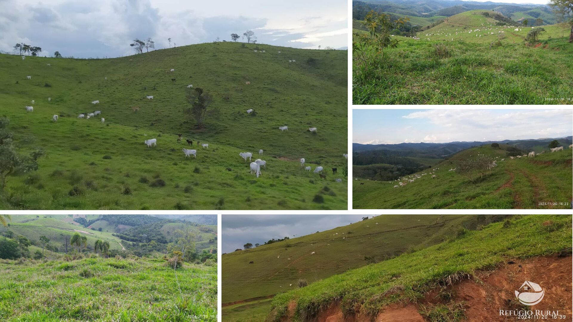 Fazenda à venda com 6 quartos, 500m² - Foto 7