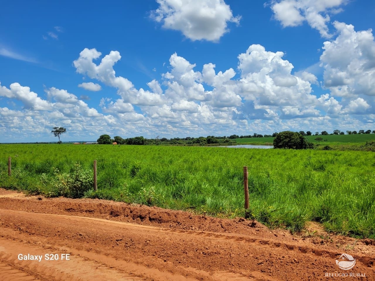 Fazenda à venda com 1 quarto, 9776800m² - Foto 2